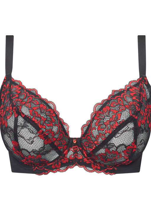 Sexy Lace Fuller Bust Non Padded Plunge Bra image number 4.0