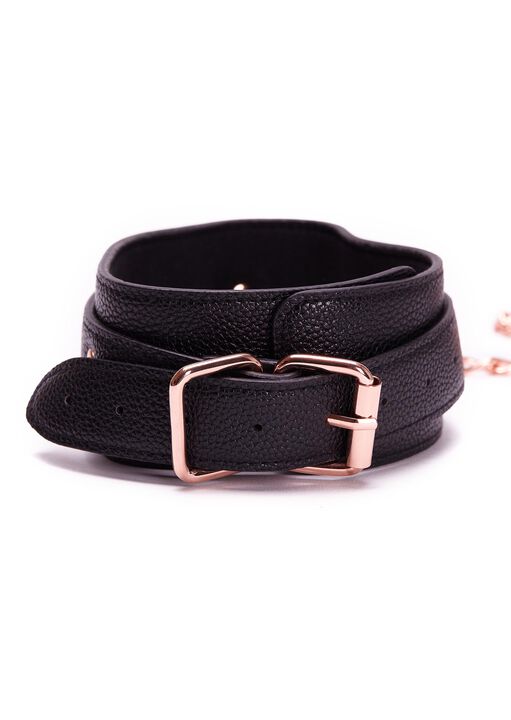 Faux Leather Collar And Lead image number 1.0