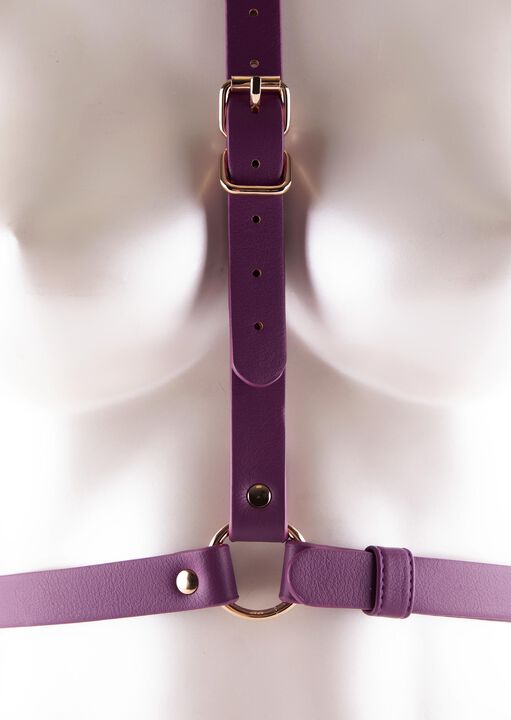 Serenity Body Harness image number 3.0