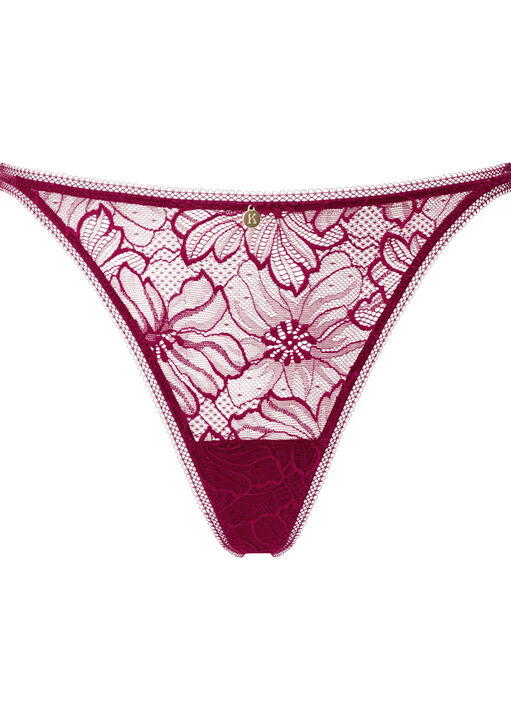 Alice String image number 4.0