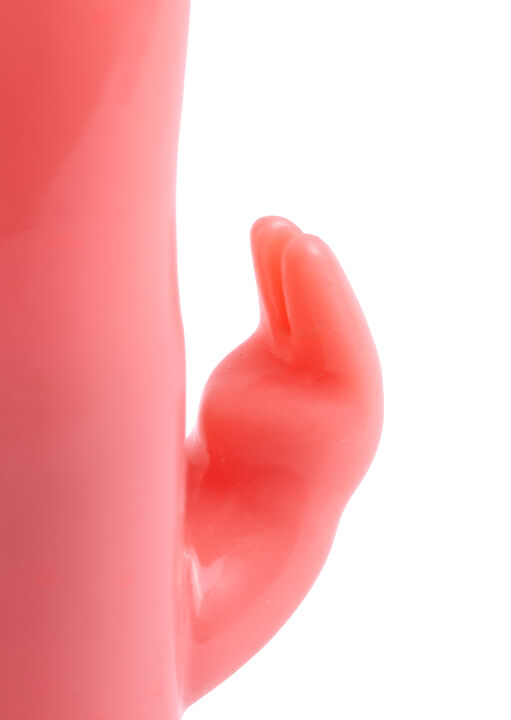 Petite Rabbit image number 2.0