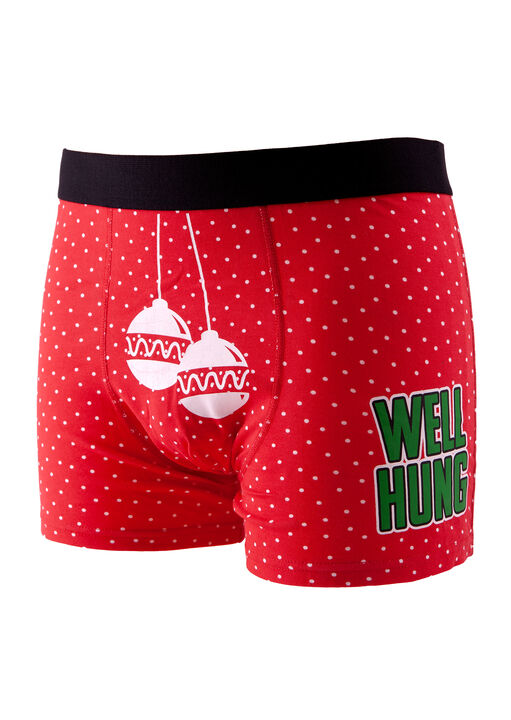 Well Hung Boxer image number 1.0