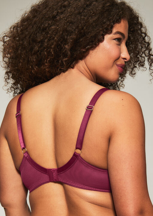 Knickerbox Aria Embroidered Non Padded Plunge Bra image number 4.0
