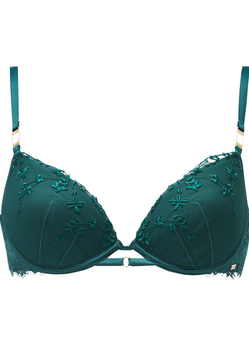 Knickerbox Hallie Embroidered Padded Plunge Bra image number 9.0