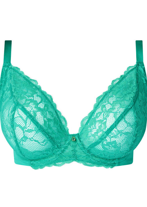 Sexy Lace Fuller Bust Non Padded Plunge Bra image number 4.0