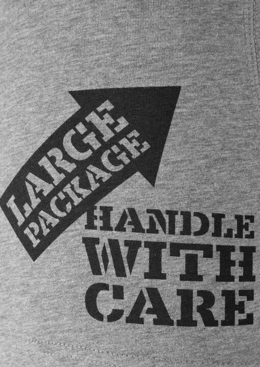 Large Package, Handle With Care Boxer image number 5.0