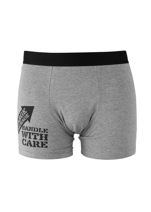 Large Package, Handle With Care Boxer image number 4.0