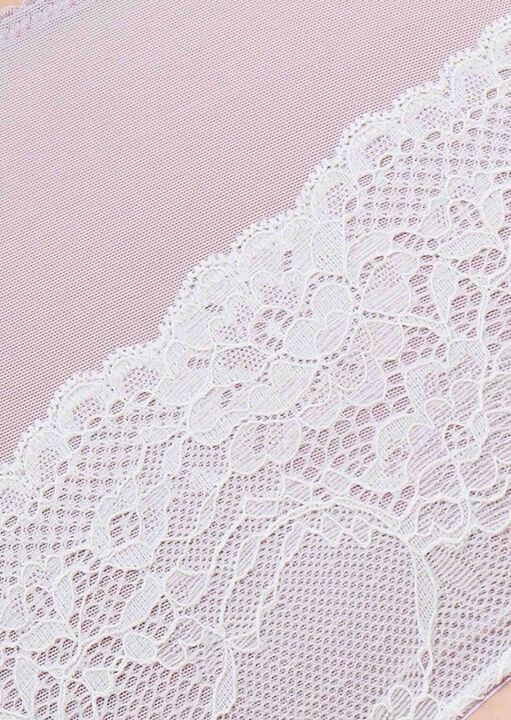 Tonal Lace High Waist Brief image number 3.0
