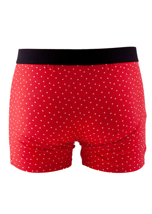 Well Hung Boxer image number 3.0