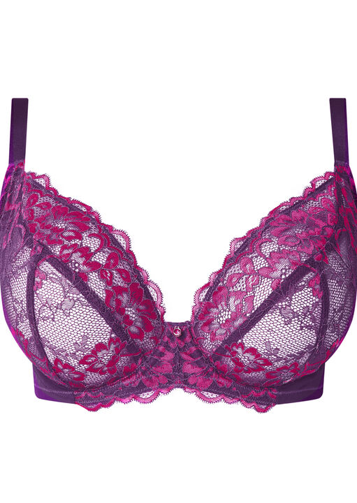 Sexy Lace Fuller Bust Non Padded Plunge Bra image number 4.0