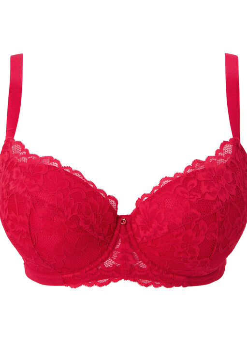 Sexy Lace Padded Plunge Bra image number 10.0