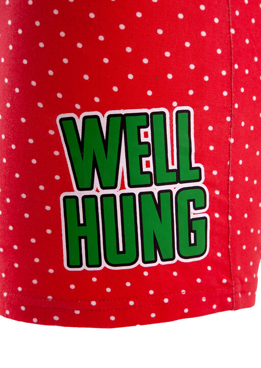 Well Hung Boxer image number 2.0