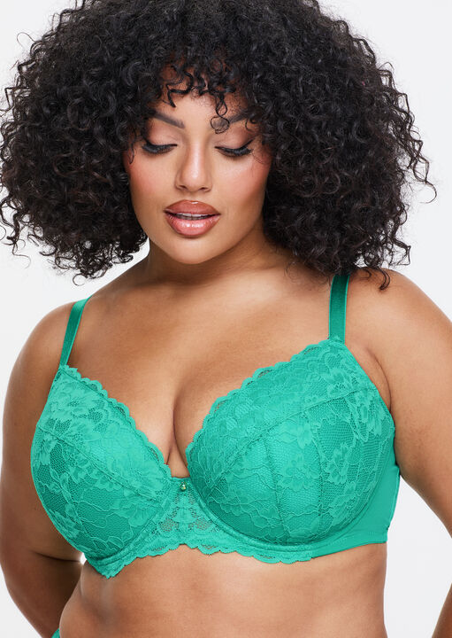 Sexy Lace Padded Plunge Bra image number 1.0