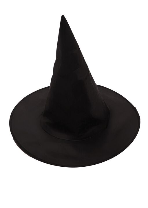 Witches Hat image number 1.0