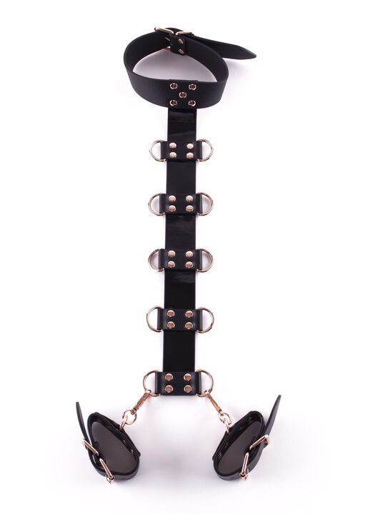 Signature Faux Leather Neck to Wrist Restraint image number 1.0