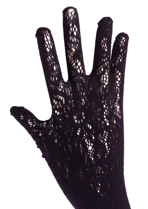 Long Lace Gloves image number 1.0