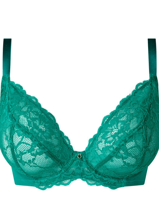 Sexy Lace Fuller Bust Non Padded Plunge Bra image number 5.0