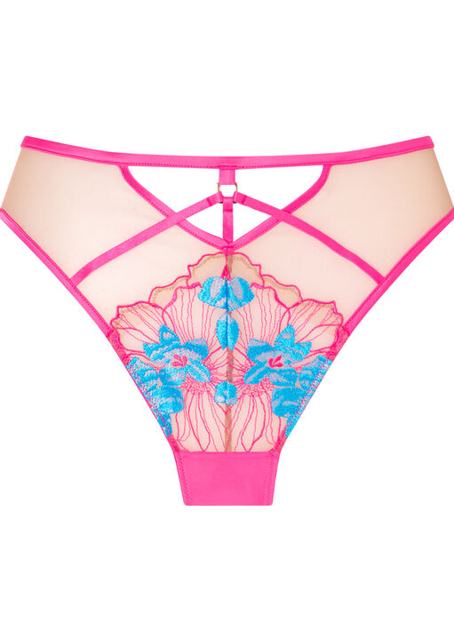 Ambitious Embroidered High Waisted Brazilian Knickers image number 4.0