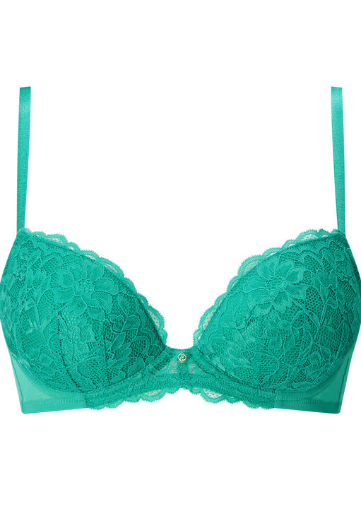 Sexy Lace Padded Plunge Bra image number 9.0