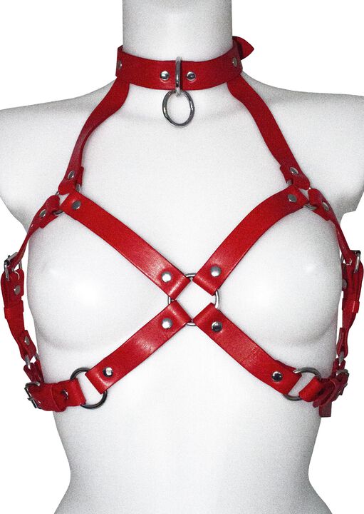 Open Cup Harness Bra with Collar image number 2.0
