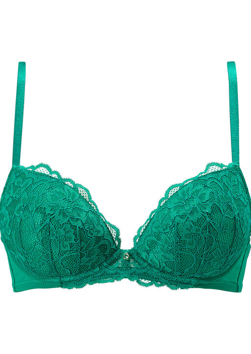 Sexy Lace Padded Plunge Bra image number 9.0