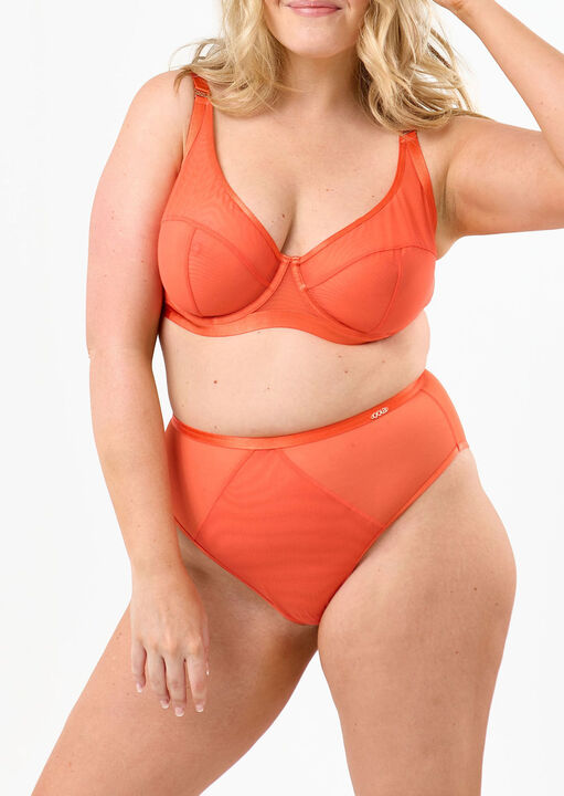 Oola Orange Soft Mesh Hw Brief, 22-24