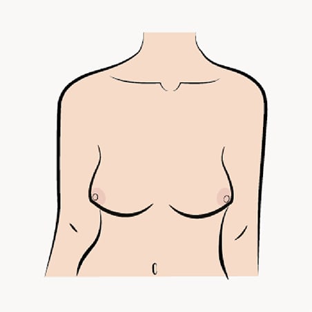 East west illustration of breasts