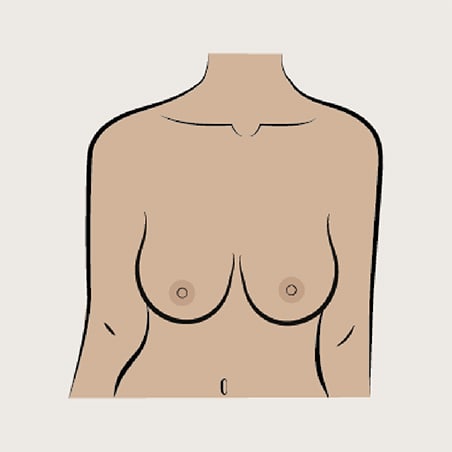 Wide set illustration of breasts