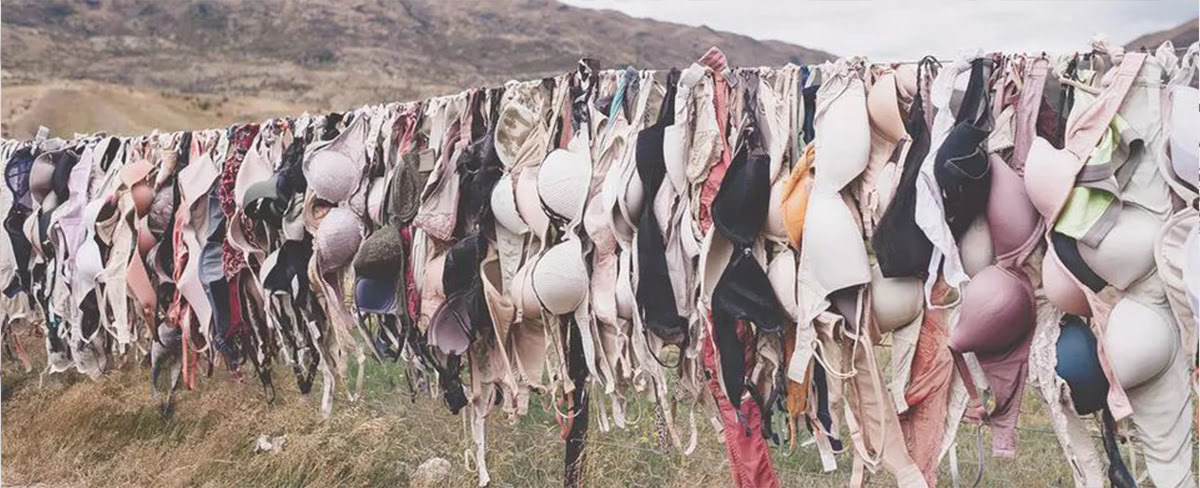 Various coloured Bras hanging on a line