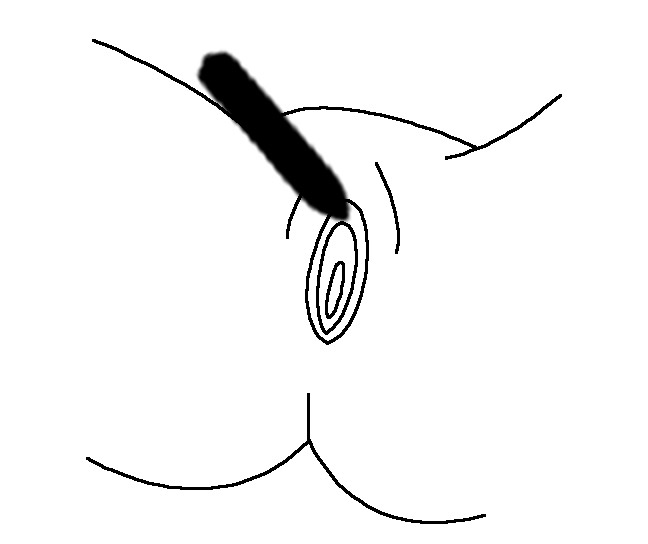 Illustration showing a bullet vibrator on the clitoris