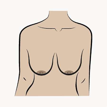 Relaxed illustration of breasts