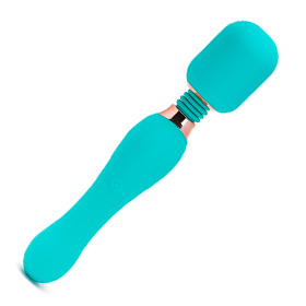 Ann Summers blue magic wand vibrator