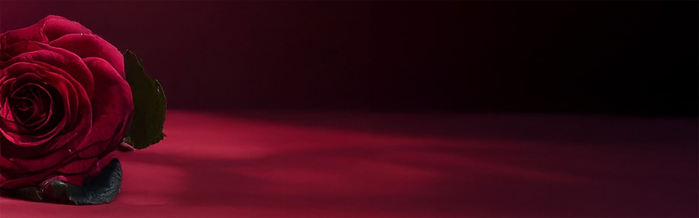 Valentines Holding page