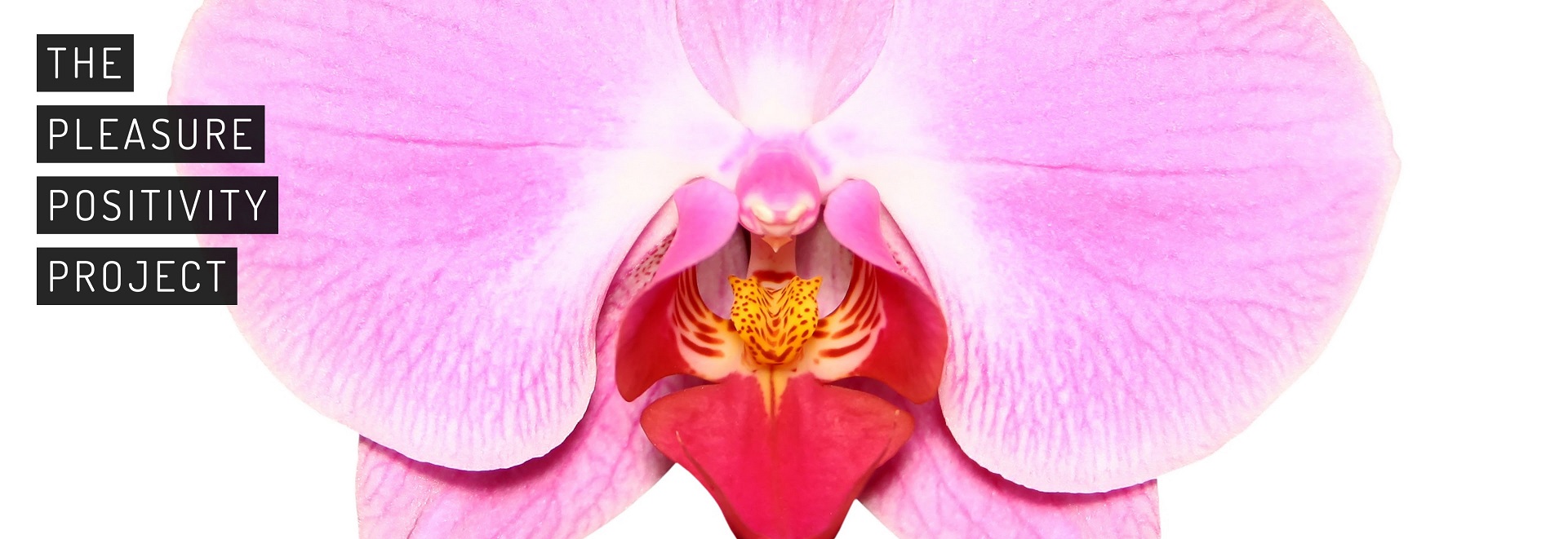 Self love isn't selfish - Explore sexual wellness range